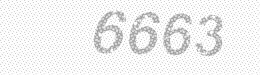 Visual security code — type the characters shown in the image